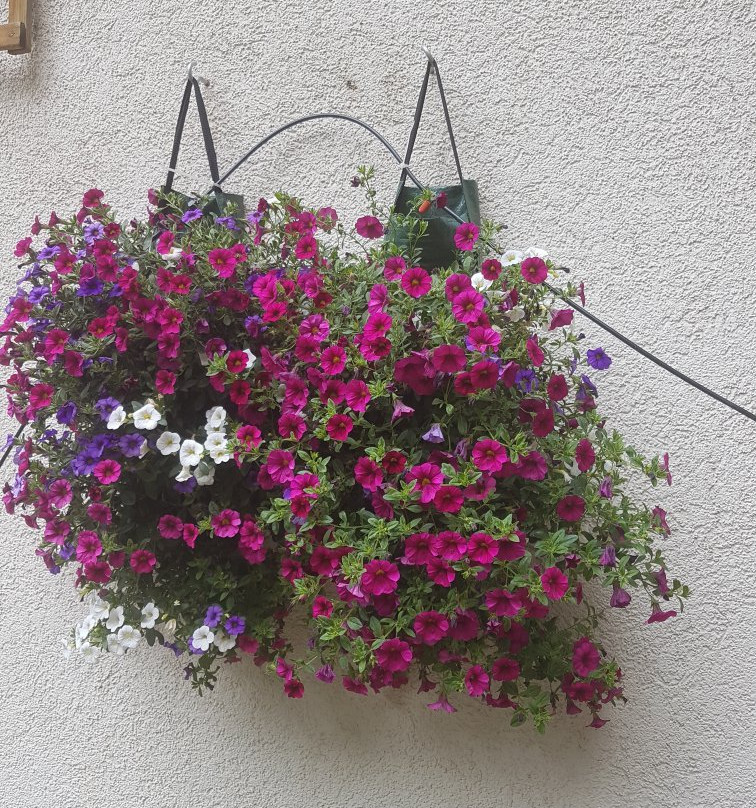 Hotel Bergfreund主图