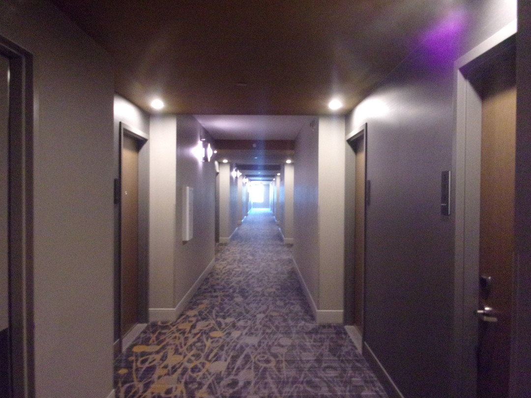 Hyatt Regency Bloomington-Minneapolis主图