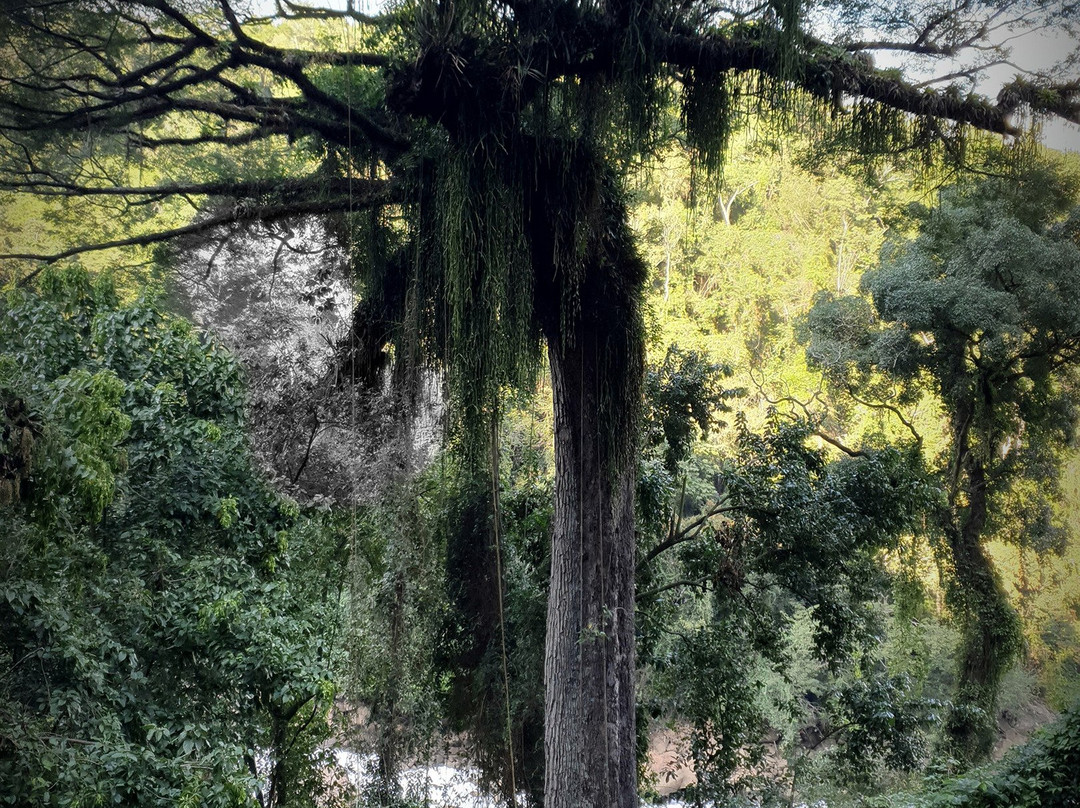 Estrada Parque-伊图必去景点