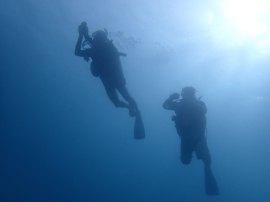 Samoa Dive & Snorkel-阿皮亚必去景点