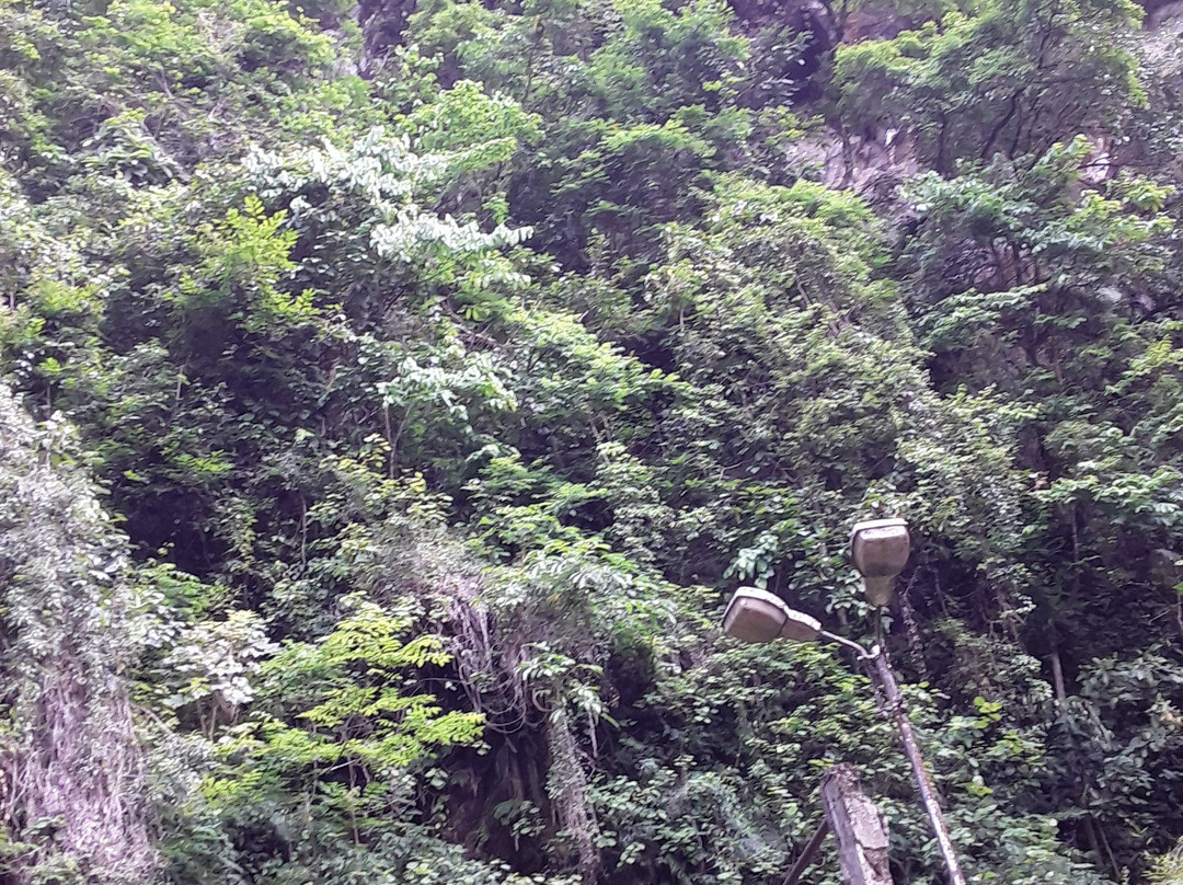 Changey Waterfall-Lava必去景点