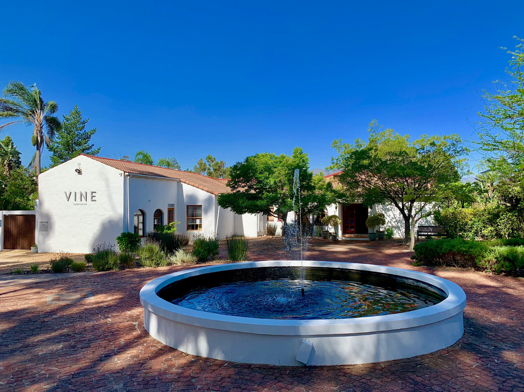 Koelenhof酒店住宿-Vine Guesthouse