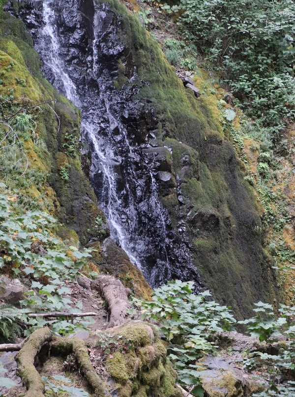 Cabin Creek Falls景点图片