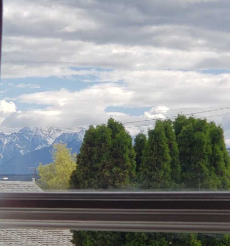 Almo Court Motel主图