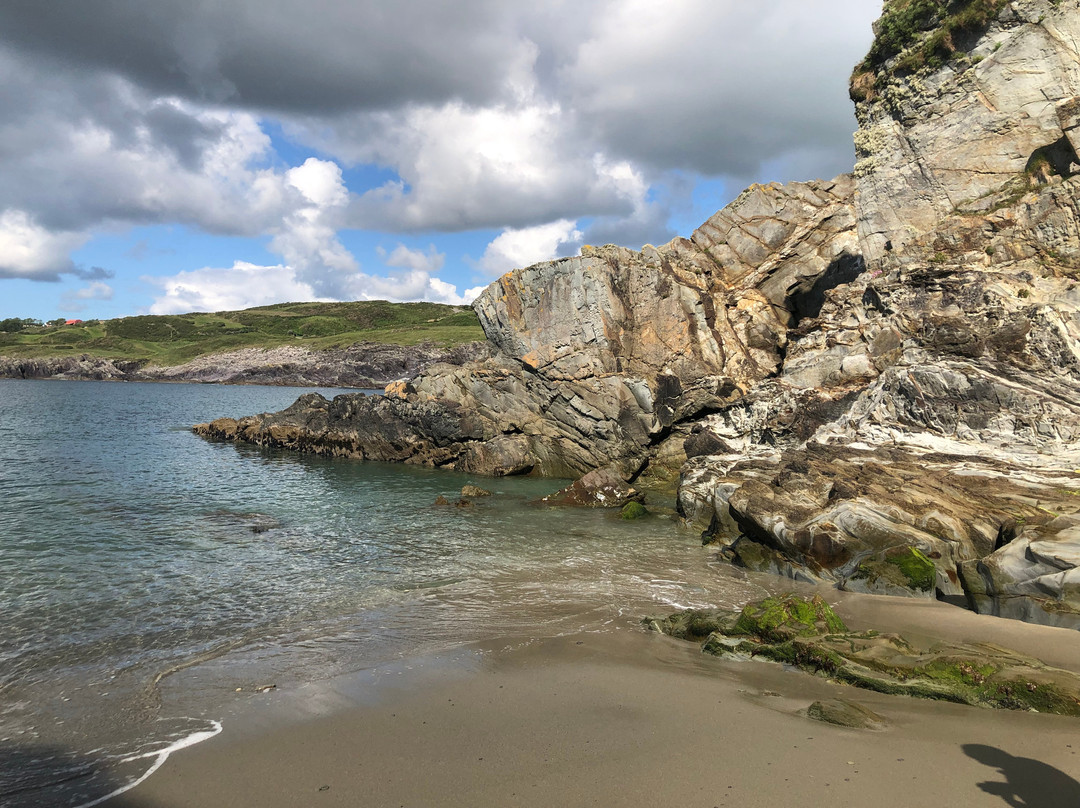 Sandycove House Bed & Breakfast主图