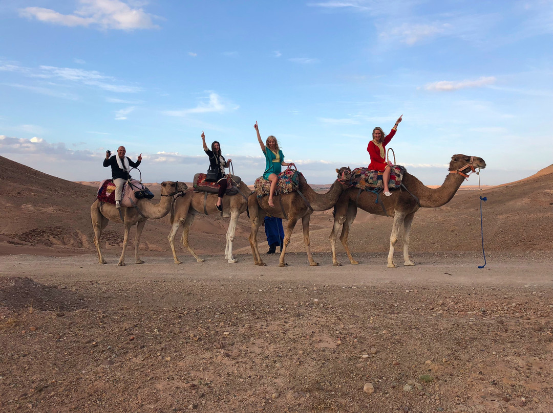 Guide Tour Marrakech-马拉喀什必去景点