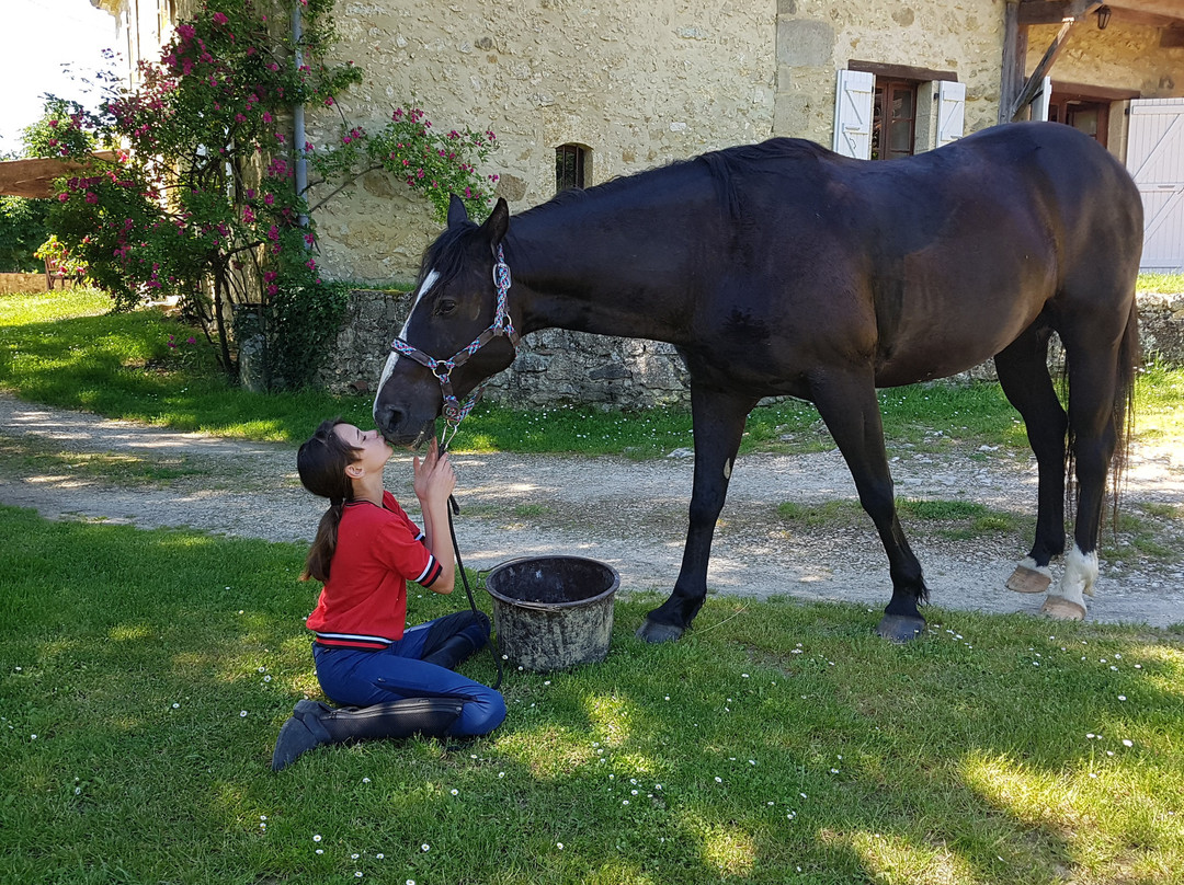 La Ferme Aux Chevaux景点图片