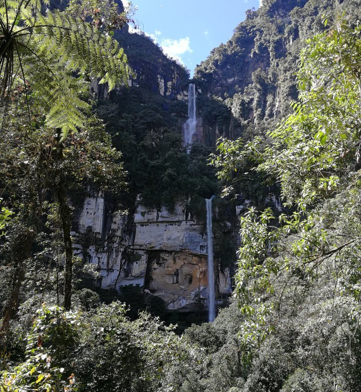 Yumbilla Waterfall景点图片