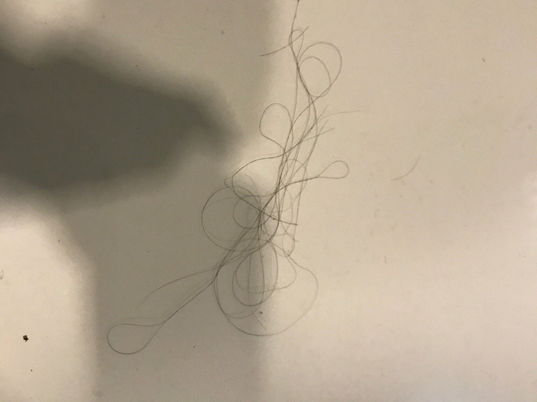 Roxas旅游攻略图片