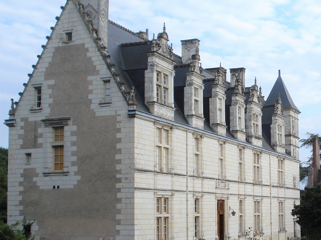 Chateau de Nitray景点图片