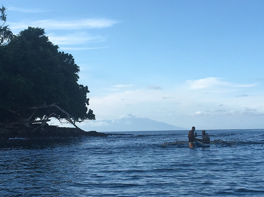 Niugini Dive Adventures景点图片