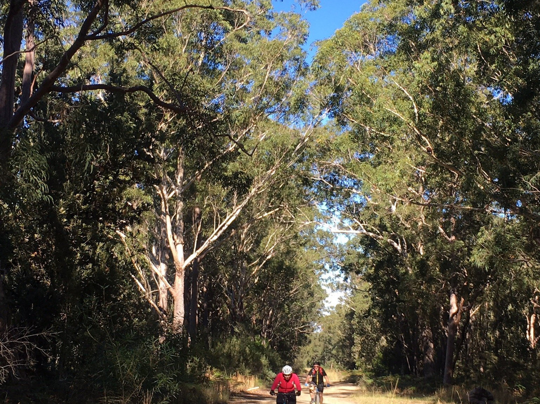 Aussie Bike or Hike景点图片