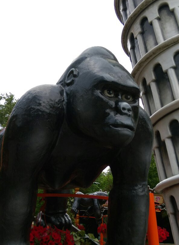 AV-Park景点图片