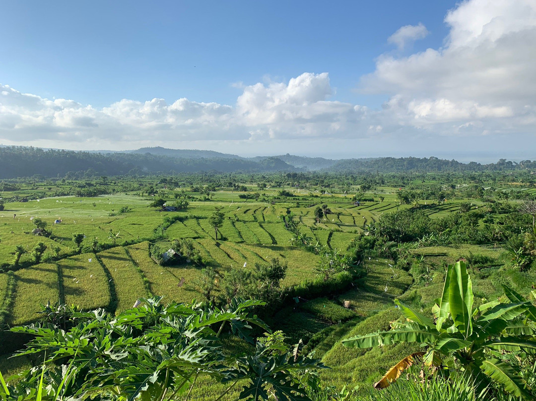 Bali Travel Vacation景点图片