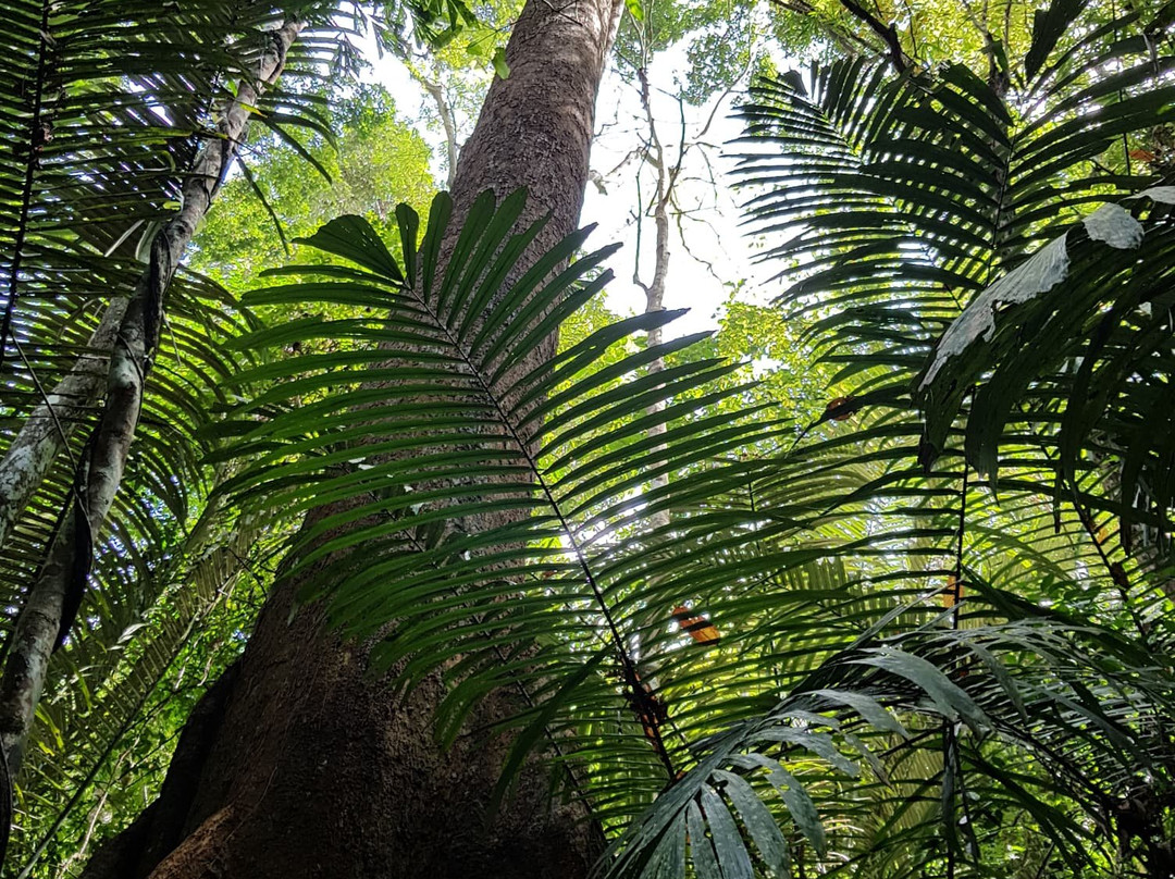 Ton Sai Waterfall-Thep Krasattri必去景点