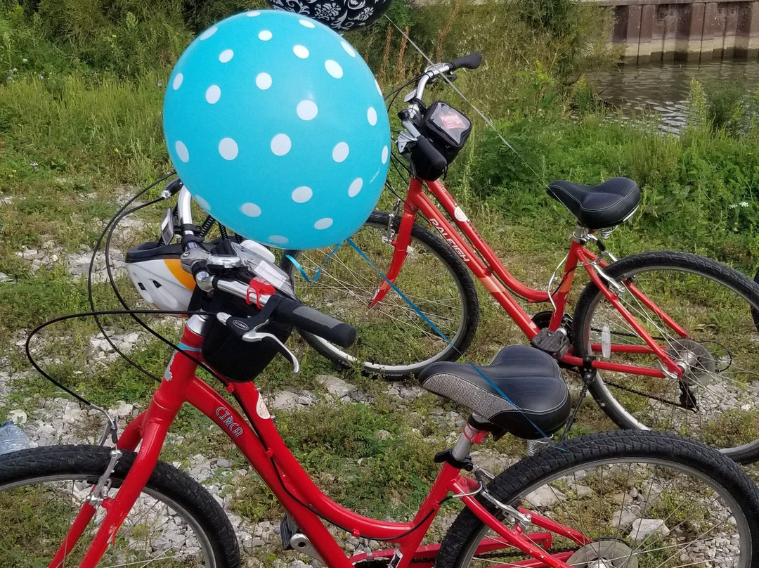 Red Apple Rides-多佛港必去景点