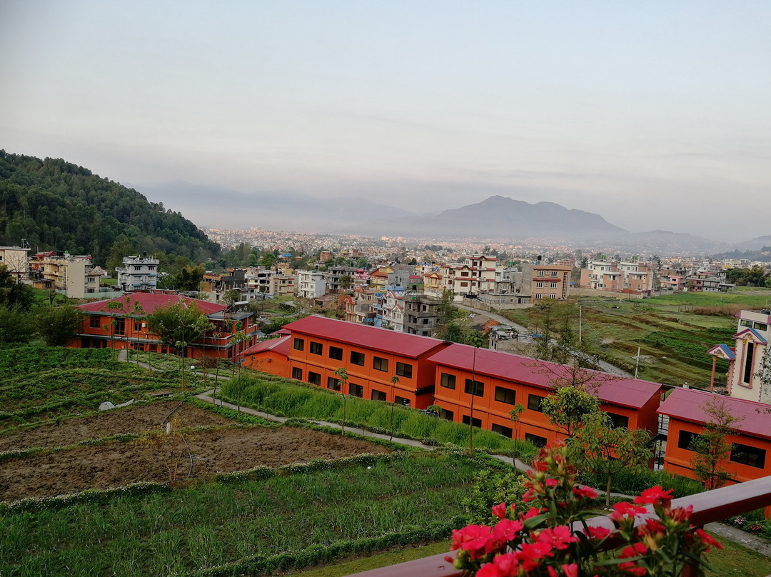 Laxmi's Bed And Breakfast主图