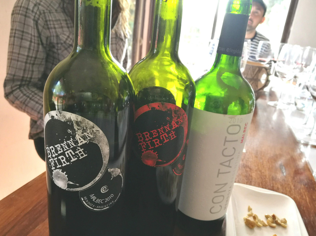 Cepas Elegidas-阿格雷洛必去景点