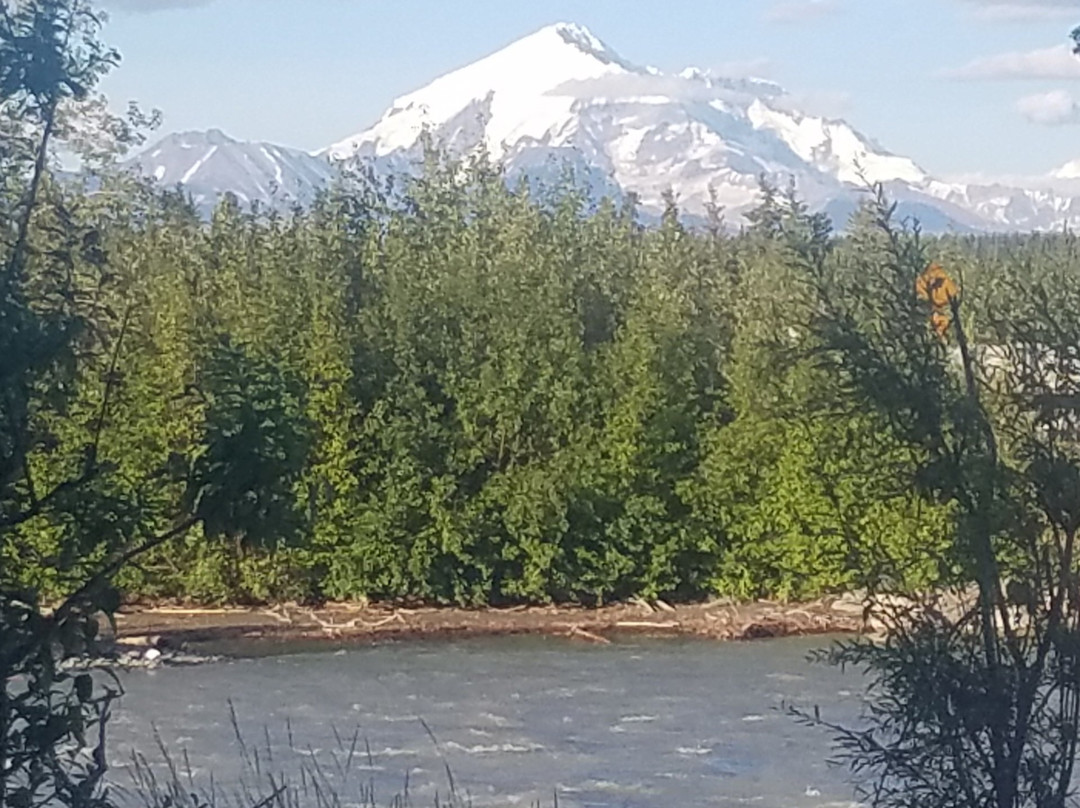 Salmon Grove Campground And Charters