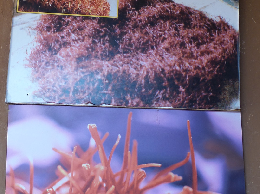 Le Jardin du safran-Ourika必去景点