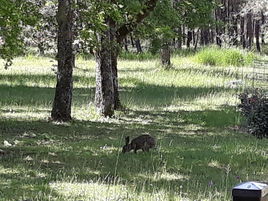 La Maison des Bois主图