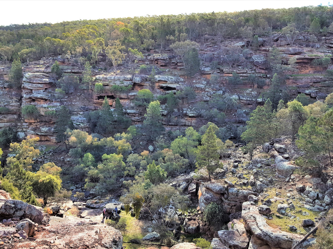 Cocoparra National Park景点图片