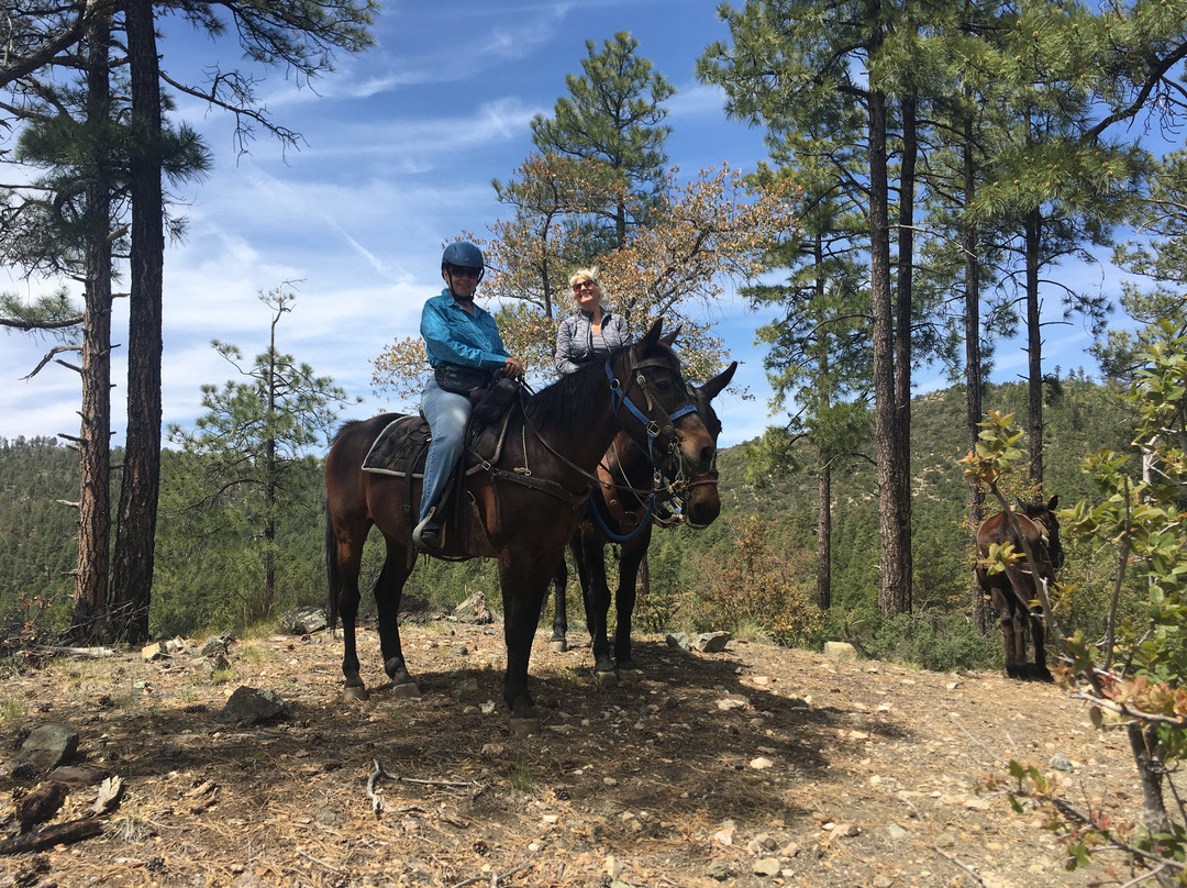 Prescott Horseback Riding-普雷斯科特必去景点