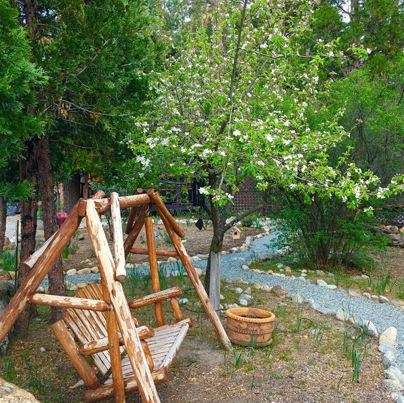 Strawberry Creek Inn主图