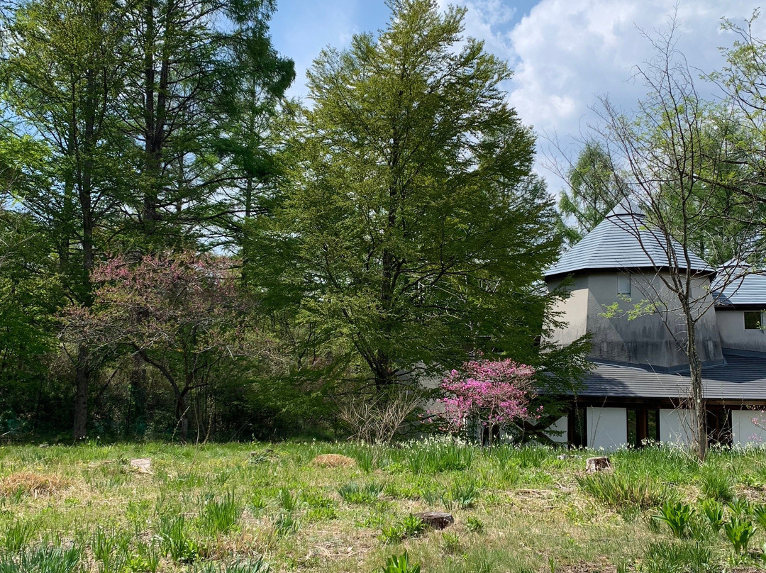 Forest of Muse-轻井泽町必去景点