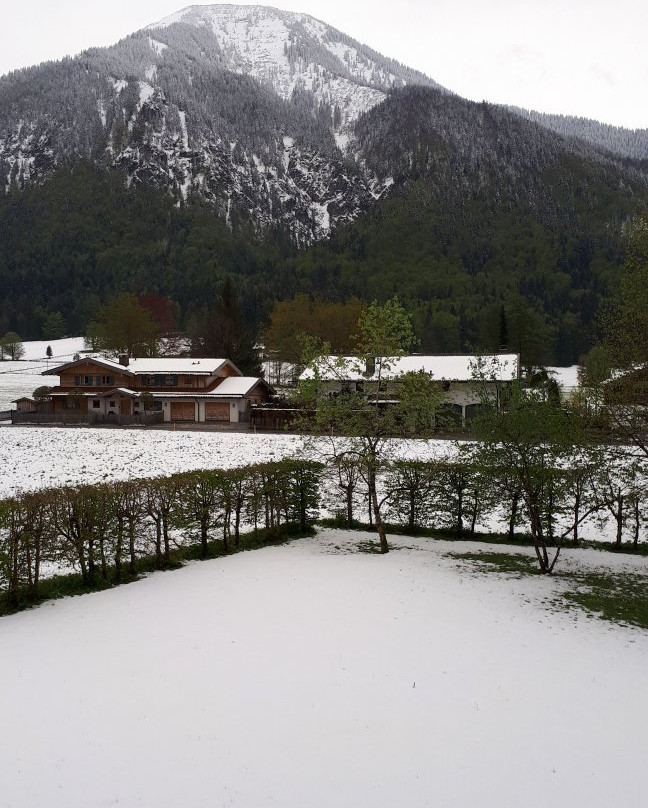 Hotel Bachmair Alpina主图