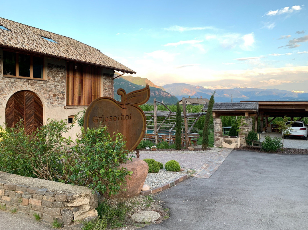 Grieserhof主图