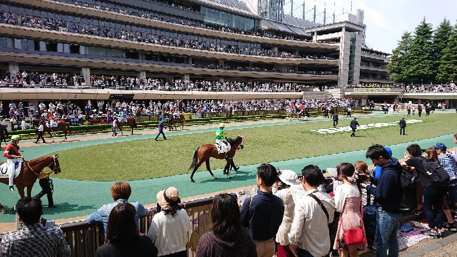 Tokyo Racecourse景点图片