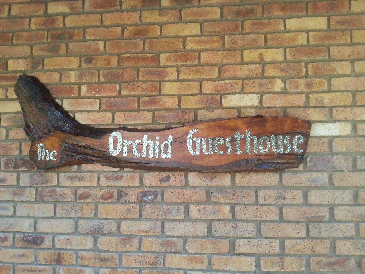 The Orchid Guesthouse-官方