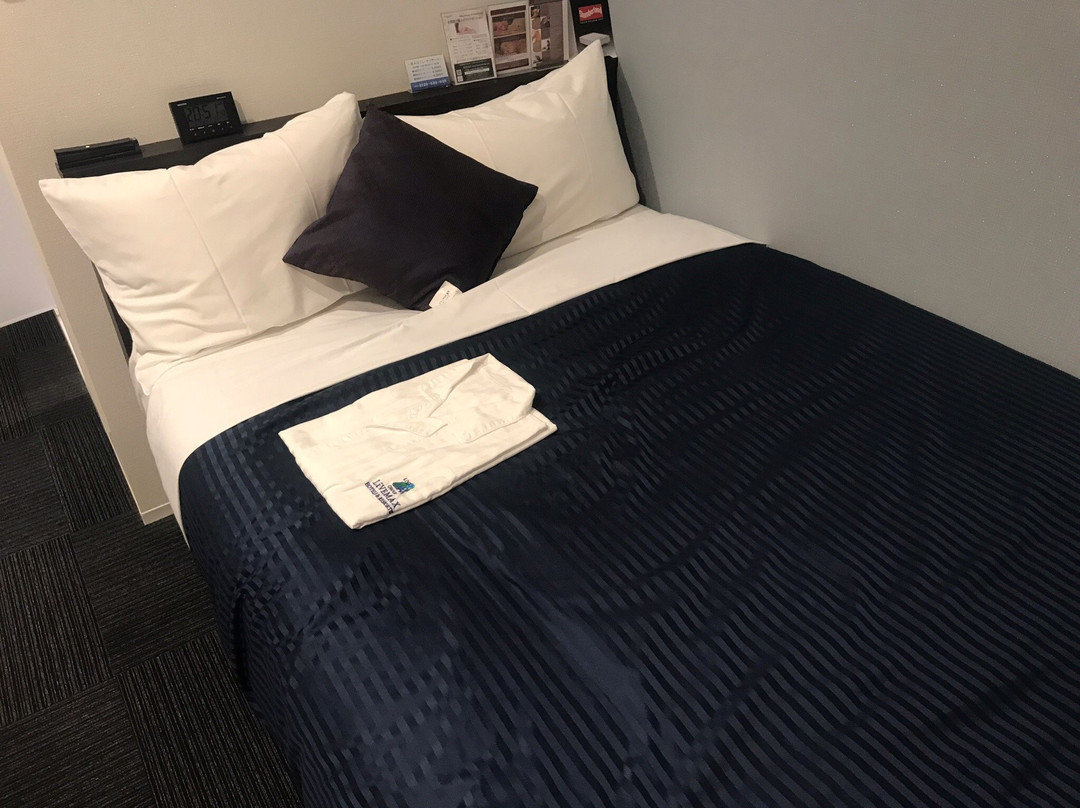 Hotel Livemax Tokyo Ayase Ekimae主图