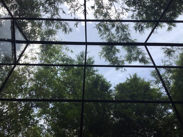 Diyabubula, the Barberyn Art & Jungle Hideaway主图