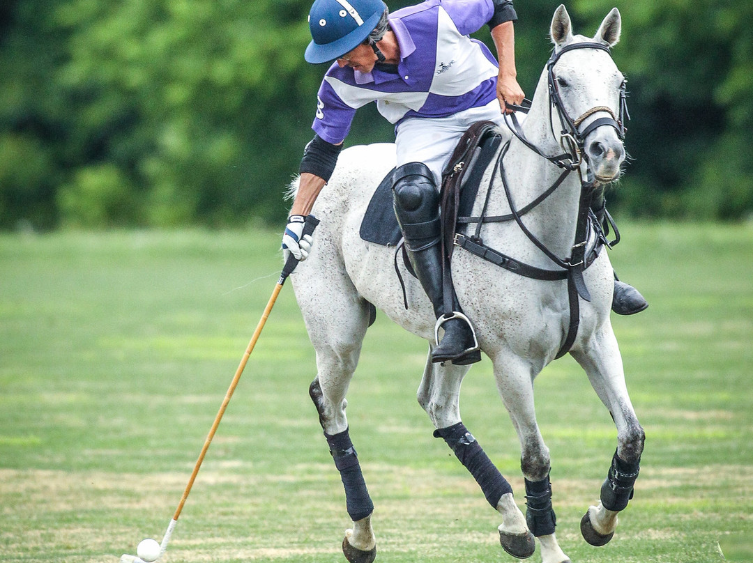 Brandywine Polo Club景点图片