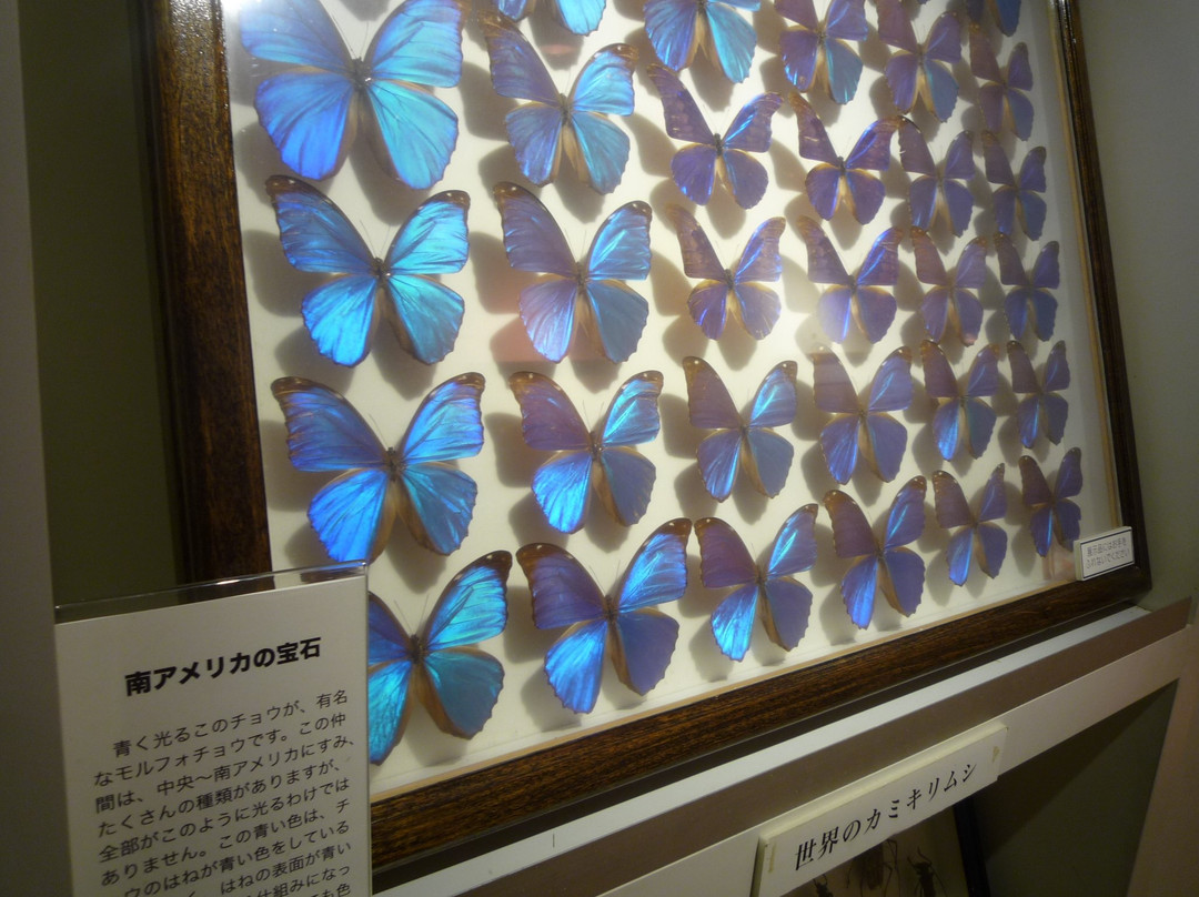 L'Oustal del Felibre di Tavan-Sendagi必去景点