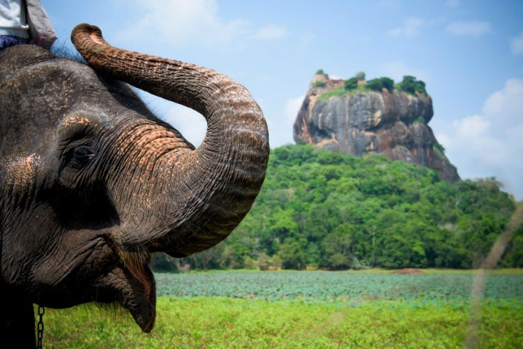 Srilanka Paradise Island Tours景点图片