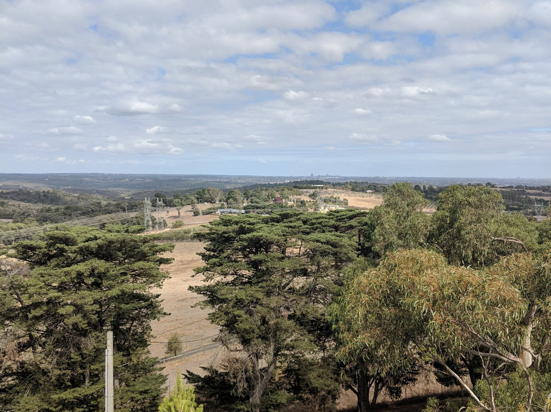 Yarra Valley Bus Tours-亚拉河谷必去景点