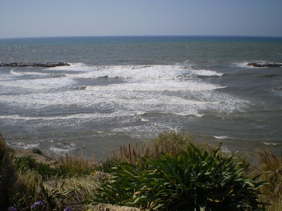 Bnei Brak旅游景点-Independence Park