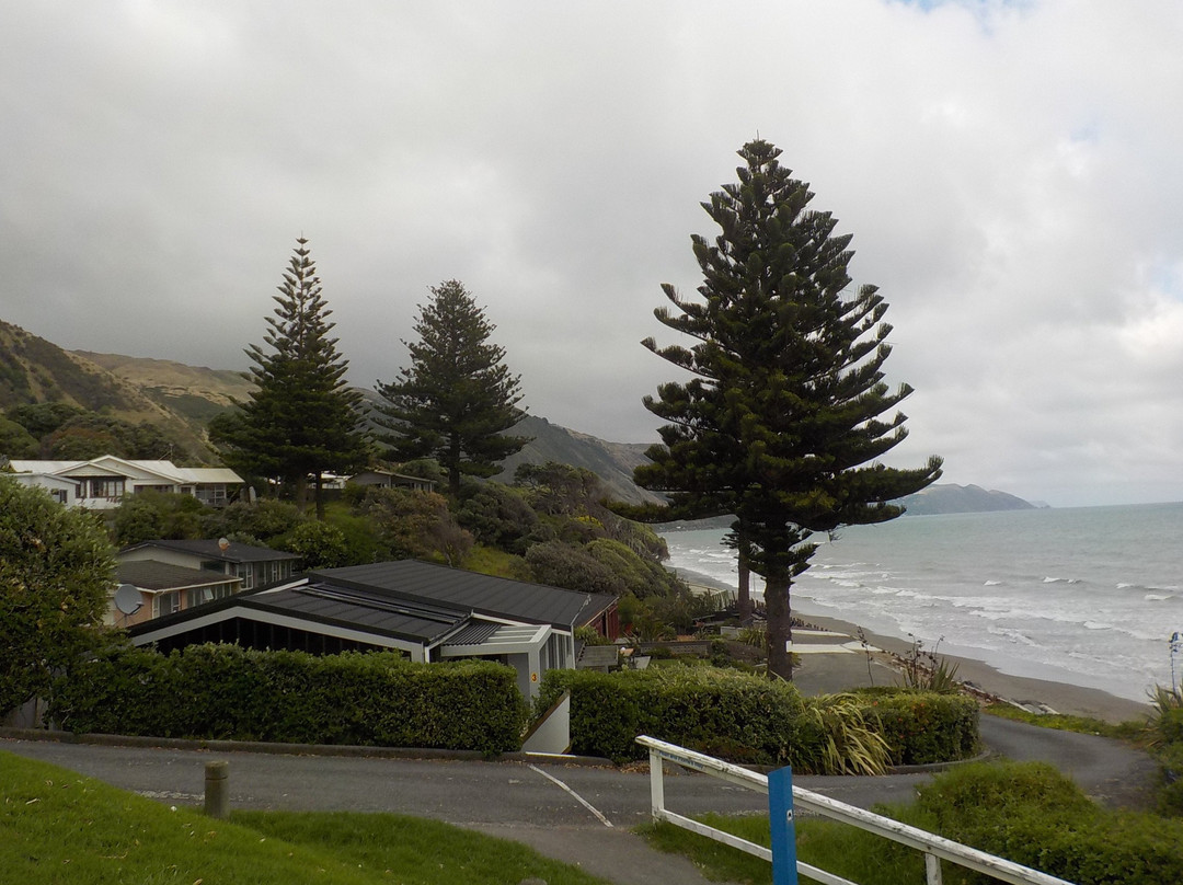 Paekakariki Beach景点图片