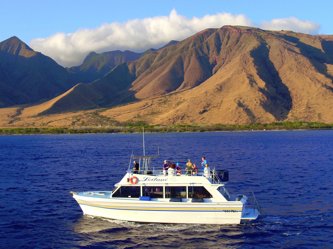 Maui Boat Trips景点图片