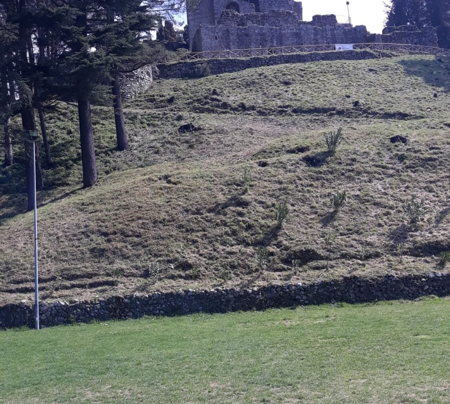 Castello Angioino Normanno景点图片