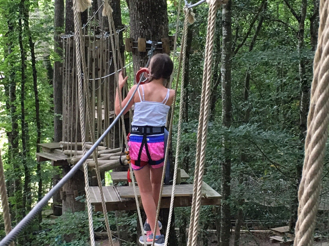 Parc Aventure De Fontdouce景点图片