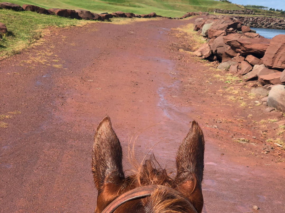 Shelby Ranch-Scotsburn必去景点