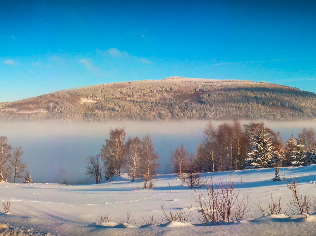 Aleksander-Panorama主图