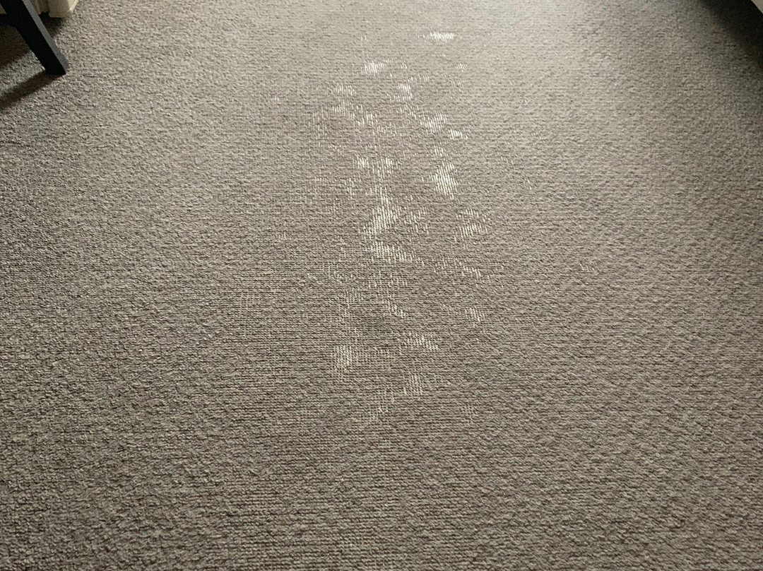 白马泉酒店主图