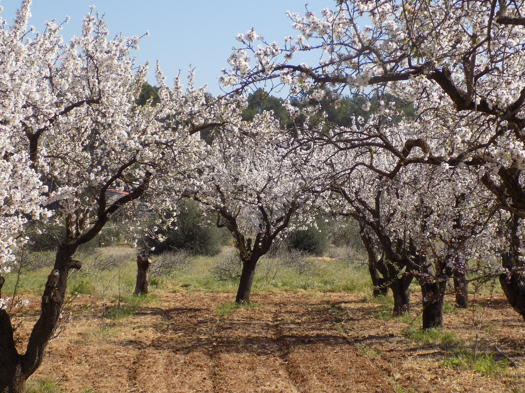 Round Town Travel-卡尔佩必去景点