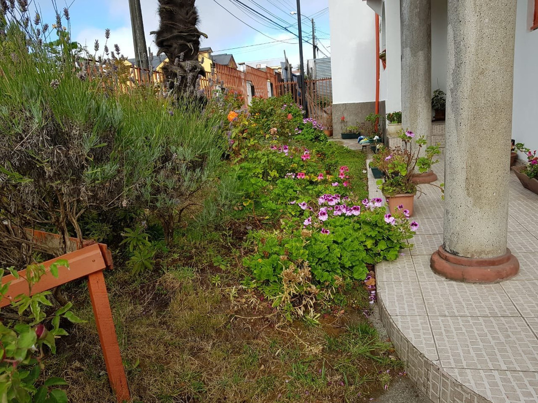 Turismo Pehuen-Castro必去景点