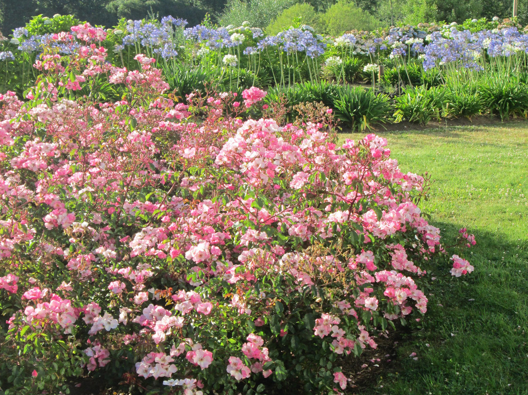 Sonesta Hotel Osorno主图